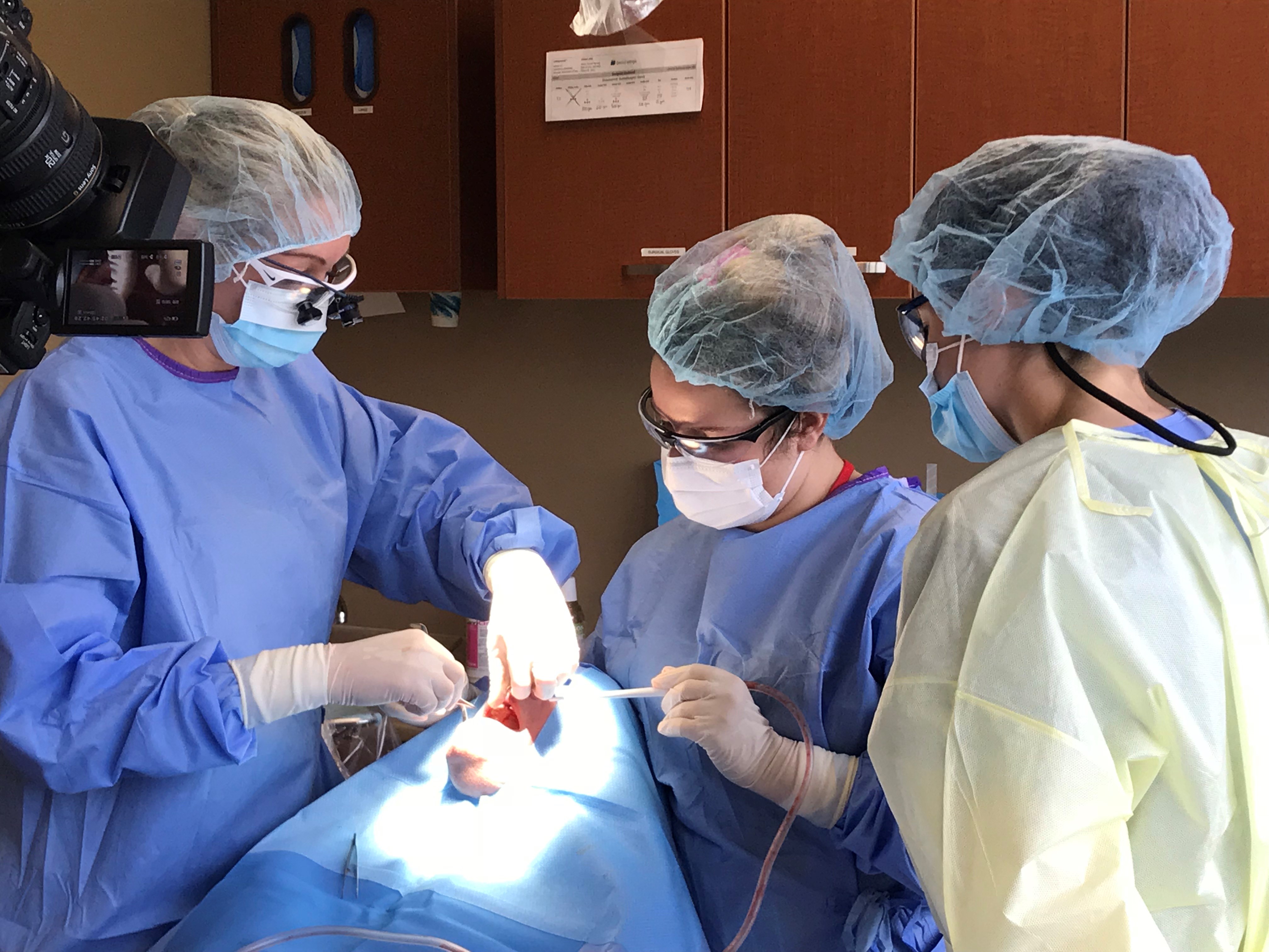Dr. Kerri Simpson, a resident, performs oral surgery on a patient receiving dental implants.